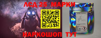 стафф Бердск